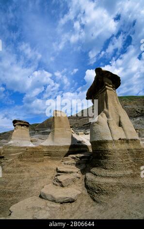 CANADA, ALBERTA, PRÈS DE DRUMHELLER, BADLANDS DU CANADA, HOODOOS (SCULPTURES EN GRÈS) Banque D'Images