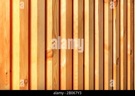 Une clôture en bois à texture côtelée, un magnifique motif arbre sous forme de troncs lisses avec guides verticaux. Banque D'Images