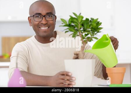 Homme d'arroser un bonsaï arbre Banque D'Images