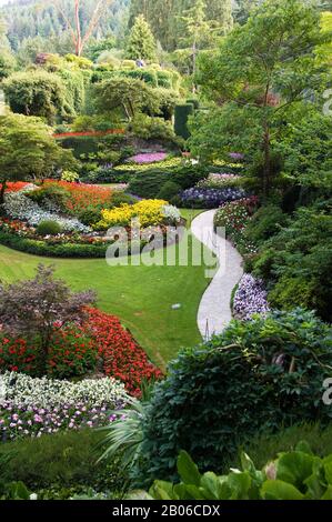 CANADA, COLOMBIE-BRITANNIQUE, ÎLE DE VANCOUVER PRÈS DE VICTORIA, JARDINS BUTCHART, VUE SUR LE JARDIN EN CONTREBAS Banque D'Images