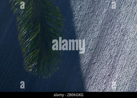 Ombre d'un palmier tombant sur un grand mur d'eau dans un complexe de luxe aux Bahamas Banque D'Images