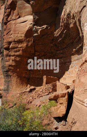 ÉTATS-UNIS, ARIZONA, PRÈS DE SEDONA, RED CANYON, SITE DU PATRIMOINE PALATKI, MAISONS DE FALAISES DE SINAGUA A.D. Banque D'Images