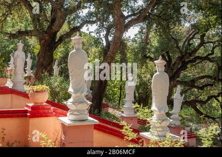 Parc De La Pagode De Hong Hien, Fréjus, Var, Provence-Alpes-Côte D'Azur, France Banque D'Images