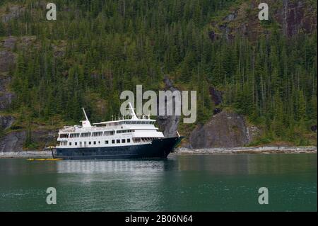 Bateau de Croisière Safari s'efforcer à l'ancre à gués la terreur, Endicott Arm, la Forêt Nationale Tongass, Alaska, USA Banque D'Images