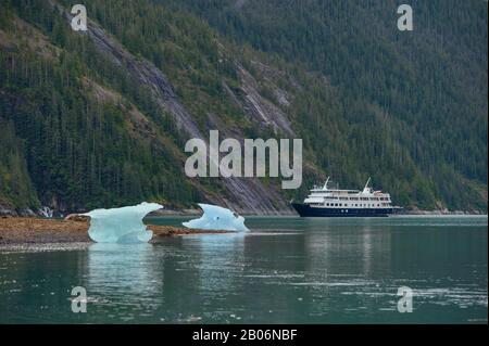 Vue du bateau de croisière Safari Endeavour à l'ancre à Fords Terror, Endicott Arm, Tongass National Forest, Alaska, USA avec de petits icebergs en premier plan Banque D'Images