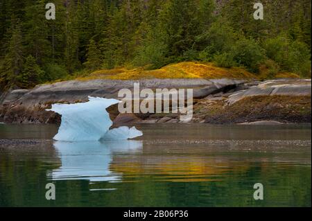 Petit iceberg échoué sur terre pendant la marée basse à gués la terreur, Endicott Arm, la Forêt Nationale Tongass, Alaska, USA Banque D'Images