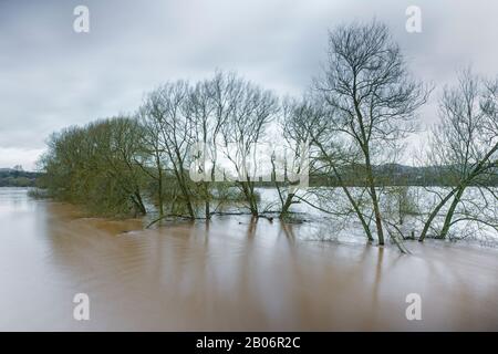 Record de rupture de niveaux d'eau élevés dans la rivière Wye à Monmouth, février 2020. Banque D'Images