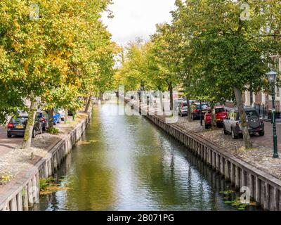 Rangées d'arbres le long du canal de Voorhaven à Edam, Noord-Holland, Pays-Bas Banque D'Images