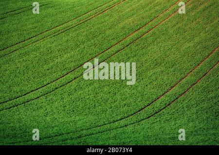 Collines avec des champs pour les fonds appropriés ou d'écran, paysage de saison naturelle. Southern Moravia République Tchèque, Banque D'Images