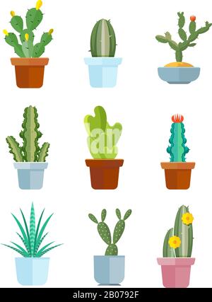 Caricature cactus, plantes du désert icônes vectorielles. Illustration des cactus mexicains fleuris Illustration de Vecteur