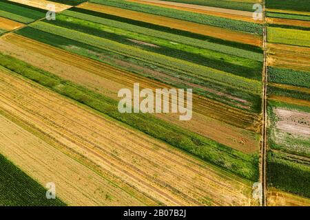 Vue aérienne de champs agricoles cultivées en été, la belle campagne paysage patchwork de drone pov Banque D'Images