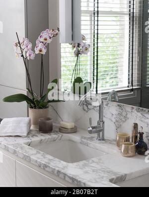 Meuble-lavabo en marbre avec orchidée Banque D'Images