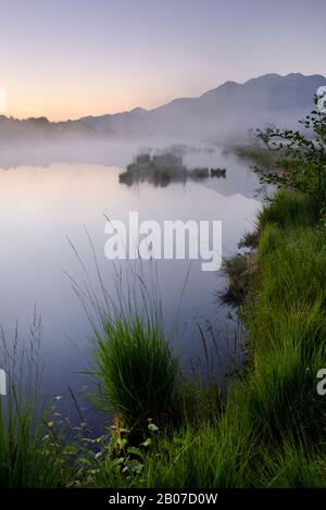 Réserve naturelle Kendlmuehlfilzn au lever du soleil dans le brouillard matinal , Allemagne, Bavière, Grassau Banque D'Images