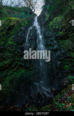 Longue exposition d'une cascade dans une forêt verte Banque D'Images