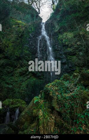 Longue exposition d'une cascade dans une forêt verte Banque D'Images