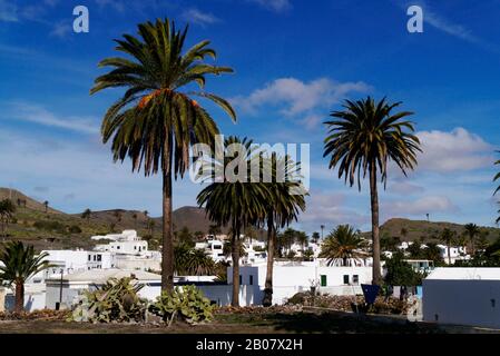 Village de Haria dans la vallée de mille palmiers, Lanzarote, îles Canaries, Espagne Banque D'Images