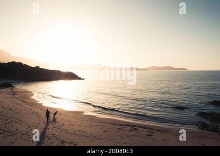 Femme et chien marchez le long de la plage d'or Plage de Sainte résistance au coucher du soleil dans la région de Balagne en Corse avec la citadelle de Calvi silhouetted i Banque D'Images