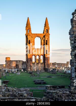 Les ruines de la cathédrale St Andrews illuminées par le soleil couchant à St Andrews Fife Ecosse Banque D'Images