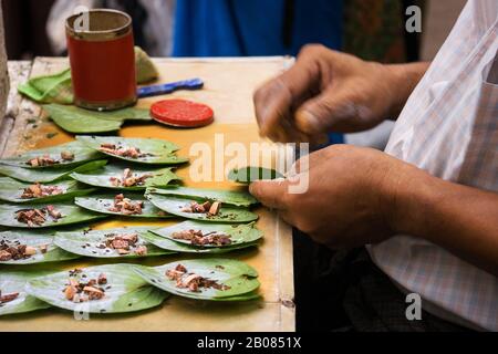 Homme préparant le chew de bétel au Myanmar. Le bétel quid ou Paan est une combinaison de feuilles de bétel, de noix d'areca et de 'Kapor Sireh'. Banque D'Images