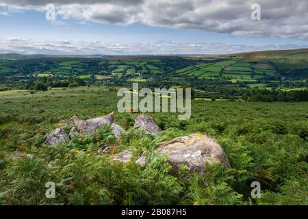 Bonehill En Bas fin d'été dans le parc national de Dartmoor avec Wideecombe-in-the-Moor Beyond, Devon, Angleterre. Banque D'Images