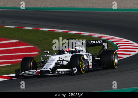 Montmelo, Barcelone - Espagne. 19 février 2020. Daniil Kvyat conduisant le (26) Scuderia AlphaTauri AT01 sur la piste pendant la première journée de F1 Winter Testing Credit: Marco Canoniero/Alay Live News Banque D'Images