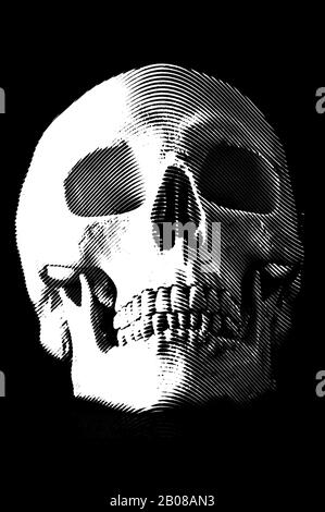 gravure du crâne humain Banque D'Images