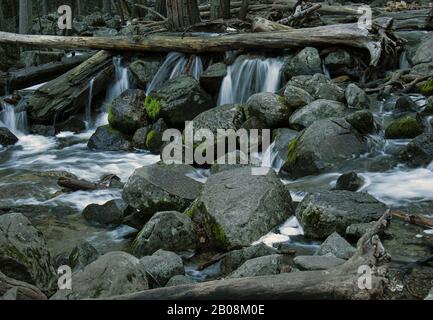 Petites cascades dans le ruisseau entre les rochers et les troncs d'arbres Banque D'Images