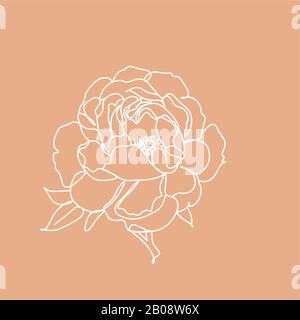 Illustration de la ligne botanique. Logo d'une ligne. Invitation de mariage. Fleurs en lignes. Prote tulipe Rose Magnolia pivoine et feuille Banque D'Images