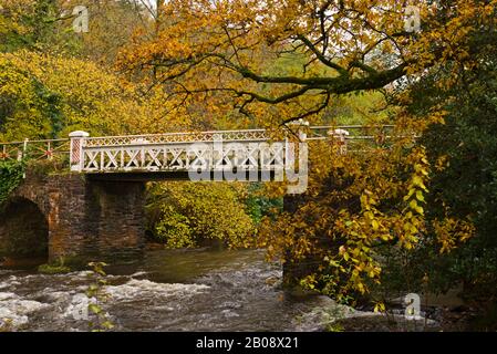 Pont de marais en fer forgé du XVIIIe siècle au-dessus de la rivière Barle, juste au nord de Dulverton, dans le parc national Exmoor à Somerset, en Angleterre, au Royaume-Uni Banque D'Images