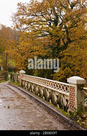 Pont de marais en fer forgé du XVIIIe siècle au-dessus de la rivière Barle, juste au nord de Dulverton, dans le parc national Exmoor à Somerset, en Angleterre, au Royaume-Uni Banque D'Images