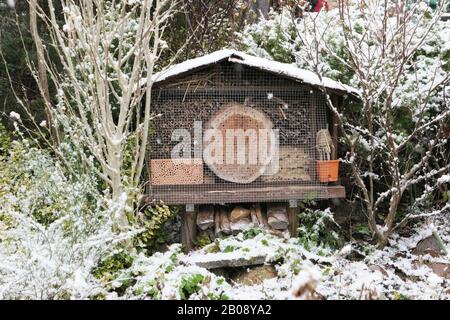 Hôtel d'insectes en hiver. Neige. Abri de bug Banque D'Images