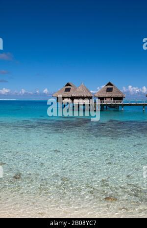 Allées en bois sur l'eau de la mer tropicale bleue aux maisons traditionnelles traditionnelles de toit de chaume polynésien authentiques Banque D'Images