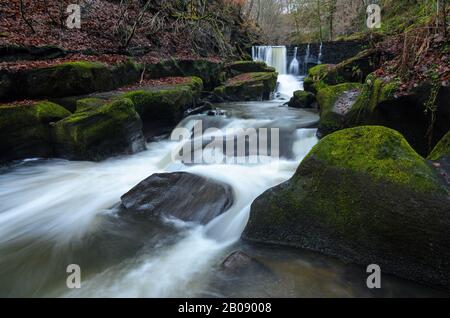 Chute D'Eau Dans La Rivière Spodden Dans La Réserve Naturelle De Healey Dell À Rochdale, Lancashire, Angleterre, Royaume-Uni. Banque D'Images
