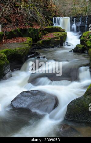 Chute D'Eau Dans La Rivière Spodden Dans La Réserve Naturelle De Healey Dell À Rochdale, Lancashire, Angleterre, Royaume-Uni. Banque D'Images