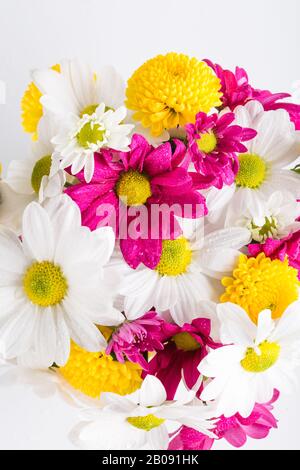 Bouquet printanier de fleurs de chrysanthème, fond floral, Journée de la femme Banque D'Images