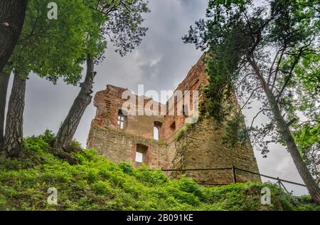 Ruines du château médiéval, XIVe siècle, près du village de Melsztyn, Roznow Foothills, Malopolska, Pologne Banque D'Images