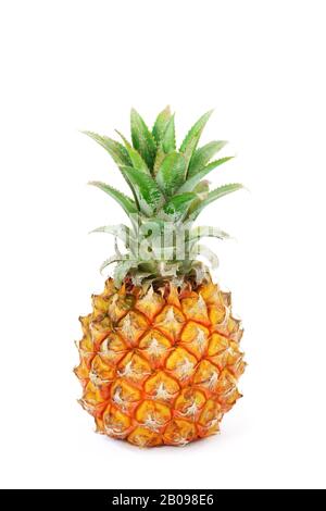 Ananas mûrs isolé sur fond blanc. Banque D'Images