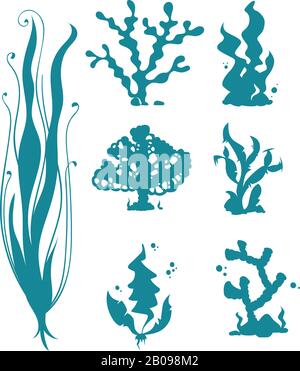 Coraux marins et silhouettes vectorielles d'algues isolées sur blanc. Corail et récif de l'océan, algues sous-marines. Illustration de l'organisme des coraux Illustration de Vecteur