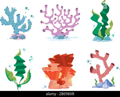 Coraux de récif, algues, plantes marines de la faune et de la flore vecteur ensemble. Algues et corail pour aquarium, coraux d'organismes sur l'illustration du bas Illustration de Vecteur