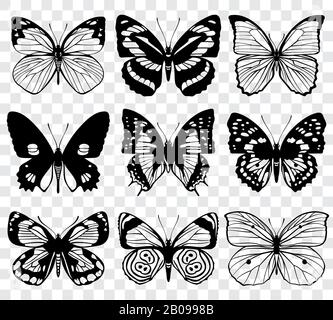 Collection de macros vectorielles silhouettes papillon. Ensemble de papillons, illustration des papillons de silhouette noire Illustration de Vecteur