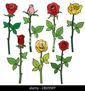 Roses avec boutons de fleurs isolés sur blanc. Illustration vectorielle de dessin animé. Fleurs colorées rose jaune et rouge, plante de dessin animé floral, roses fleuries illustration Illustration de Vecteur