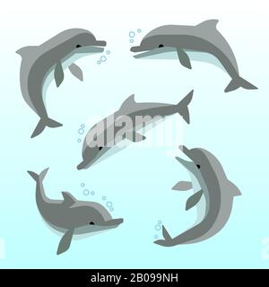 Les dauphins mignons dans différents poses vecteur. Ensemble de dauphin dans l'océan, nager l'illustration des dauphins drôles Illustration de Vecteur