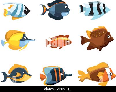 Mignon caricature tropical aquarium d'eau douce poissons vecteur ensemble. Poisson de couleur animale, illustration du poisson de nature Illustration de Vecteur