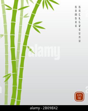 Bambou chinois ou japonais bambu asiatique vecteur arrière-plan. La nature de la plante de bambou, la tige verte exotique de l'illustration de bambou Illustration de Vecteur