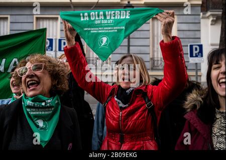 Madrid, Espagne. 19 février 2020. Les femmes protestant devant l'ambassade Argentine exigent la légalisation de l'avortement dans leur pays. Le mouchoir lit: Marée verte (doit être la loi), campagne nationale pour le droit à l'avortement légal, sûr et libre en Argentine. Crédit: Marcos Del Mazo/Alay Live News Banque D'Images