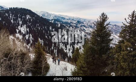 Voyageurs dans les montagnes. Trois touristes se tiennent sur le sommet d'une chaîne de montagnes parmi les arbres. Tourisme de montagne d'hiver. Photographie aérienne Banque D'Images