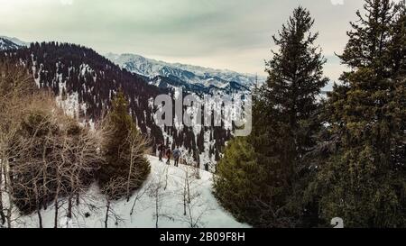 Voyageurs dans les montagnes. Trois touristes se tiennent sur le sommet d'une chaîne de montagnes parmi les arbres. Tourisme de montagne d'hiver. Photographie aérienne Banque D'Images