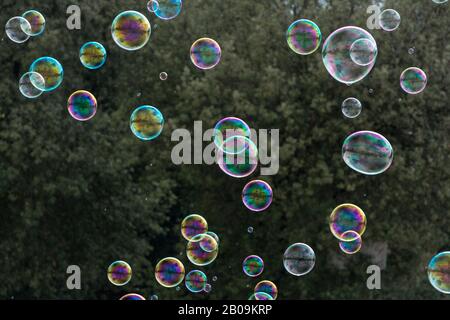 Des bulles de savon sur fond naturel vert Banque D'Images