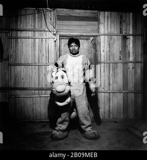 Un homme vêtu de tigre, un des personnages de Winnie l'Ourson. Le gars participe à une fête locale et est vêtu pour divertir ses voisins. Ville de shanty « oasis », Lima-Perú. Banque D'Images