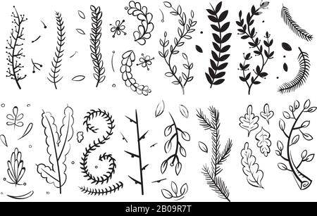 Branches décoratives dessinées à la main avec feuilles et fleurs doodle éléments vectoriels floraux ensemble. Ensemble de plantes de branchement, esquisse de l'illustration de plantes florales Illustration de Vecteur